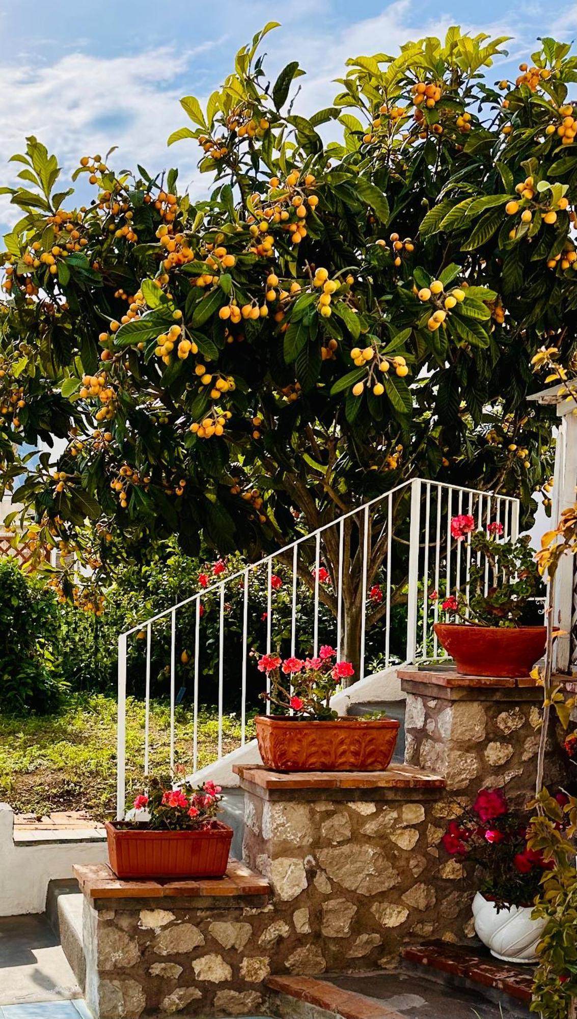 Vila Capri Joy Exteriér fotografie